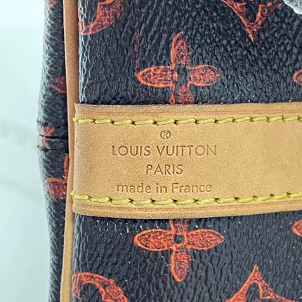 Louis Vuitton Speedy 30 Bandouliere Limited Edition Grace Coddington Catogram Brown