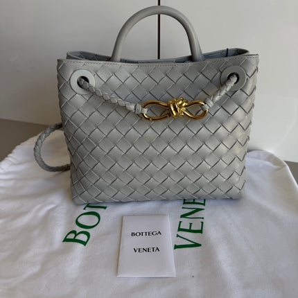 Bottega Veneta Small Andiamo Grey Handbag
