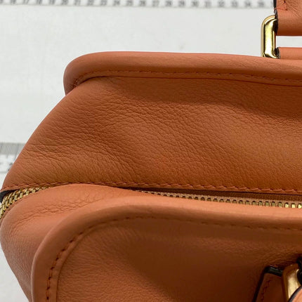 Loewe Amazona 28 in Orange Leather Goat Special Edition