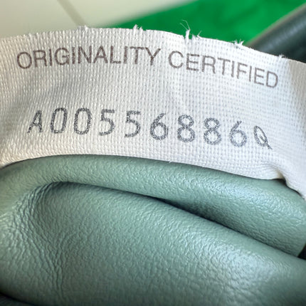 Bottega Veneta Hop Hobo Small Leather Aloe Vera Green