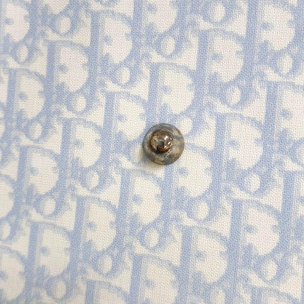 Dior No. 1 Rasta Trotter Bowling Bag Blue Oblique Canvas White Patent Leather