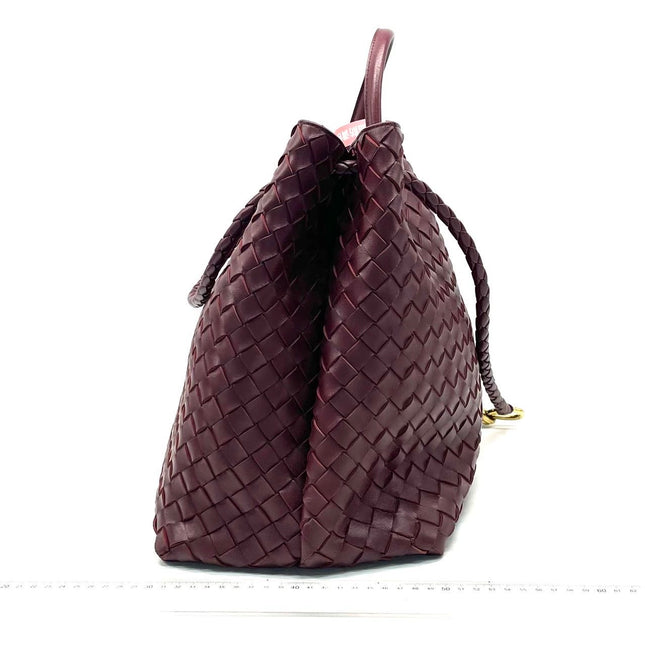 Bottega Veneta Andiamo Large Burgundy Handbag