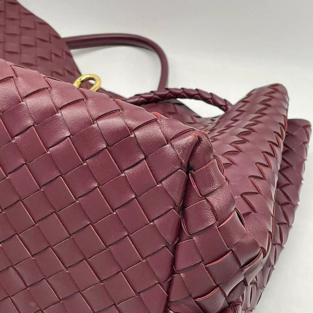 Bottega Veneta Andiamo Large Burgundy Handbag