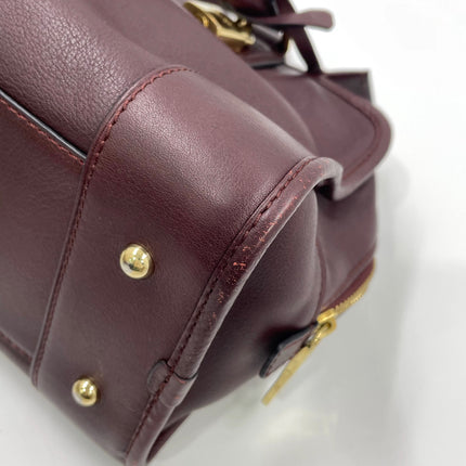 Loewe Amazona 28 in Burgundy Calfskin Leather and Gold-tone Hardware