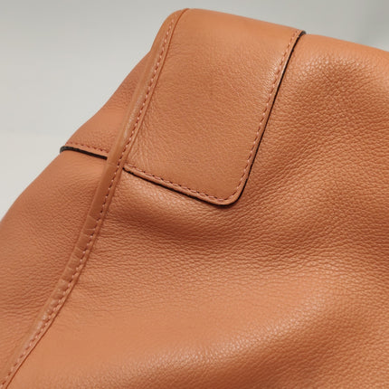 Loewe Amazona Medium 36 Light Coral Leather With Strap Goat Animal Lock