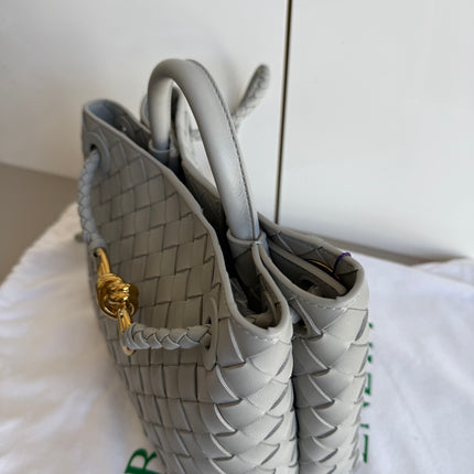 Bottega Veneta Small Andiamo Grey Handbag