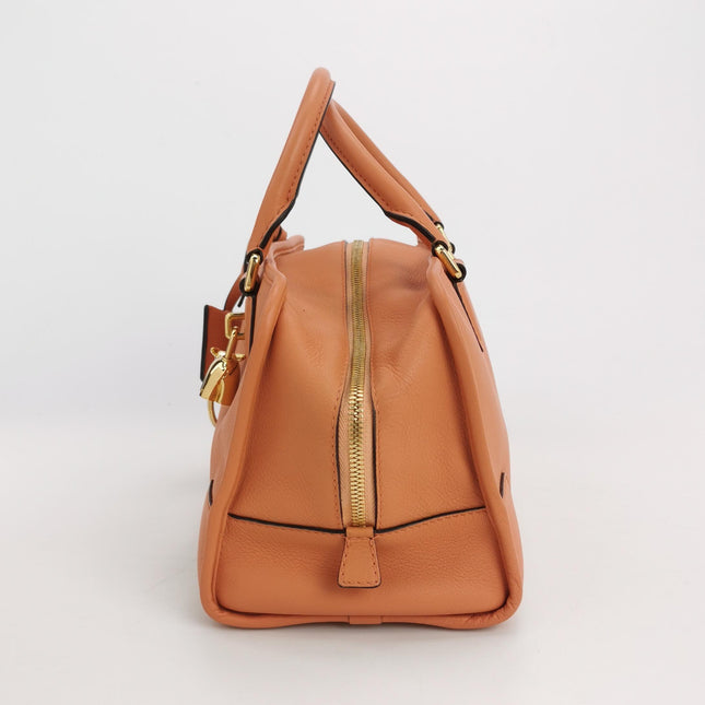 Loewe Amazona 28 in Orange Leather Goat Special Edition