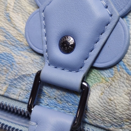 Louis Vuitton x Jeff Koons Speedy 30 Van Gogh Top Handle Bag