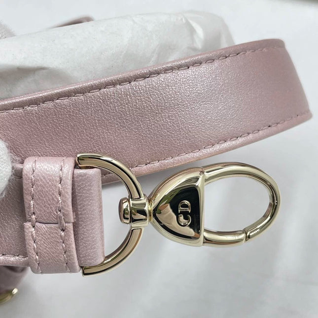 Lady Dior Medium Handbag Pearlescent Pink Cannage Leather Gold Hardware, 2016
