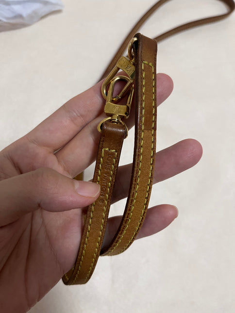 Sold Louis Vuitton pochette accessoires classic brown Modern