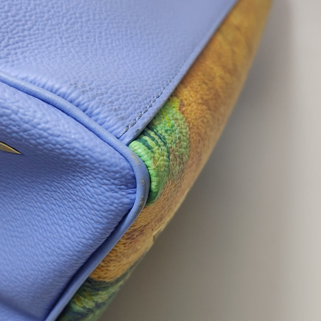 Louis Vuitton x Jeff Koons Speedy 30 Van Gogh Top Handle Bag