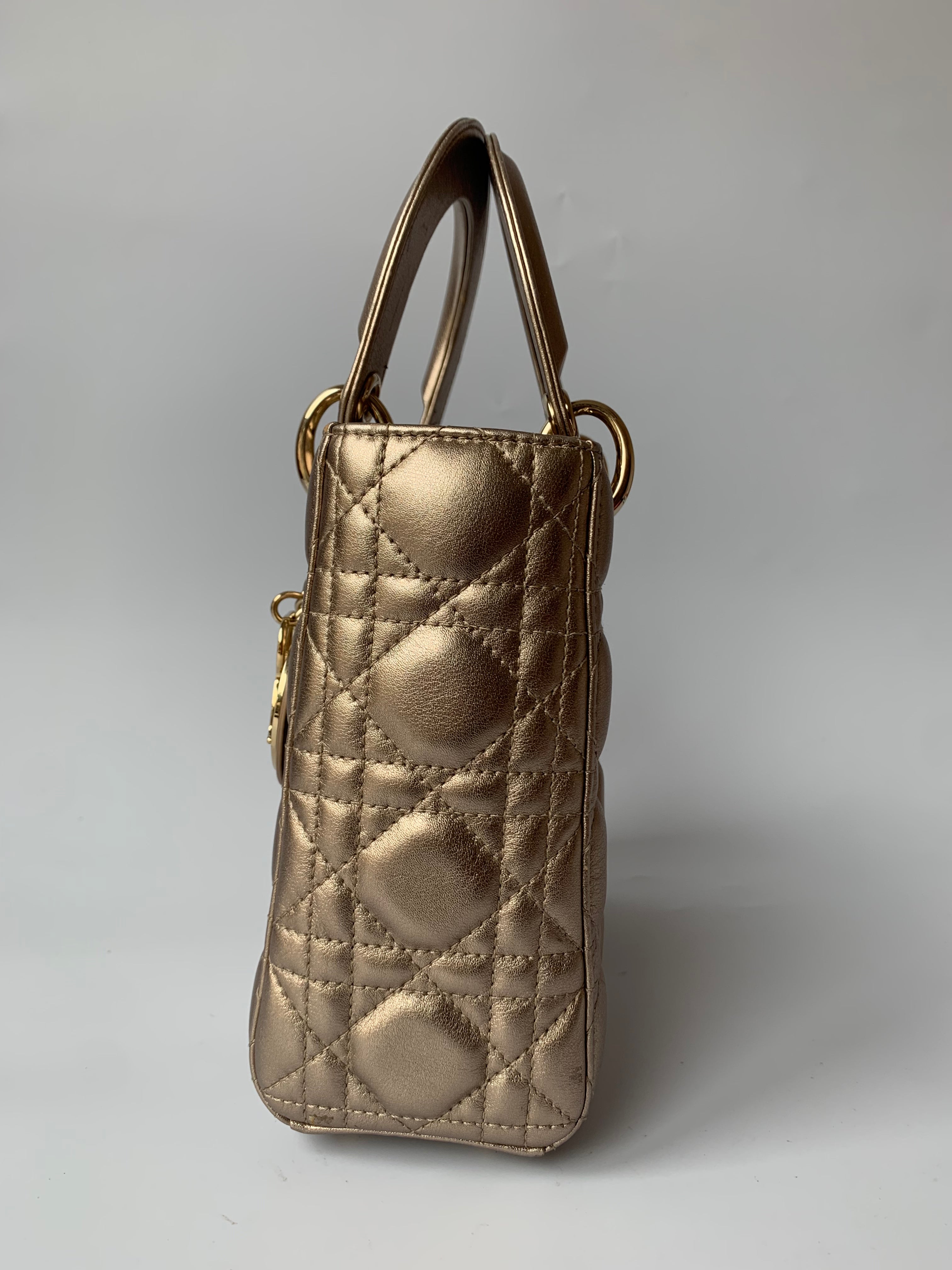 Dior best sale champagne bag