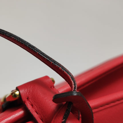 Loewe Amazona 36 Medium Red Leather Snail Lock Gold-tone Hardware