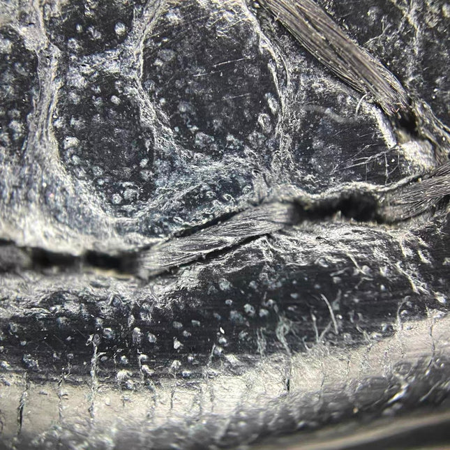 Chanel Classic Flap Jumbo 2009 Black Caviar Leather Single Flap Gold Hardware