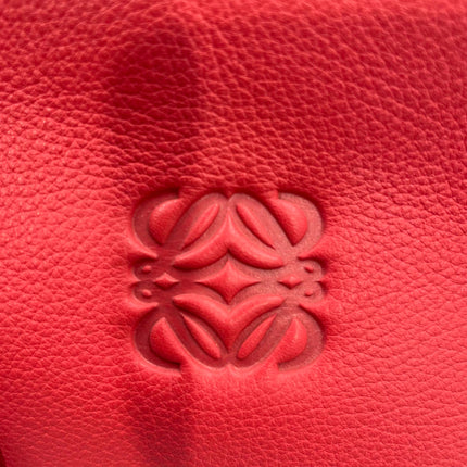 Loewe Amazona 36 Medium Red Leather Snail Lock Gold-tone Hardware