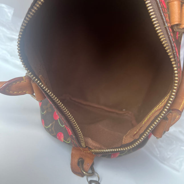 RARE Louis Vuitton x Takashi Murakami Speedy 25 Vintage Cherry on Monogram Handbag