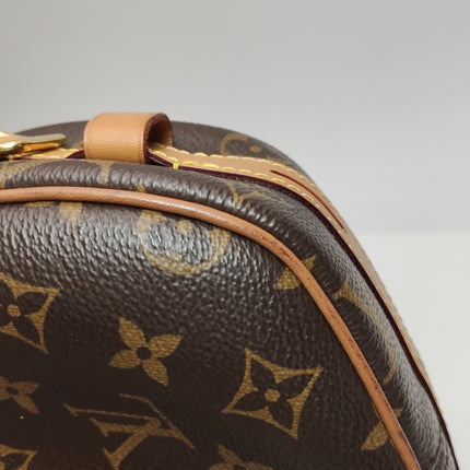 Louis Vuitton Boîte Chapeau Souple Leather MM Crossbody Bag