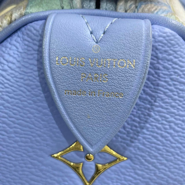 Louis Vuitton x Jeff Koons Speedy 30 Van Gogh Top Handle Bag