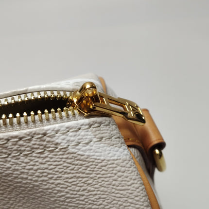 Louis Vuitton Speedy Bandouliere By The Pool Monogram Giant 25 Crossbody Bag