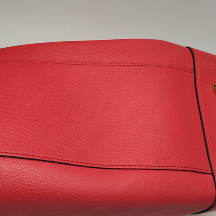 Loewe Amazona 36 Medium Red Leather Snail Lock Gold-tone Hardware