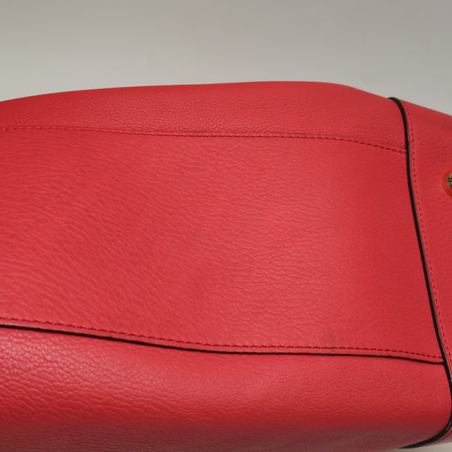 Loewe Amazona 36 Medium Red Leather Snail Lock Gold-tone Hardware