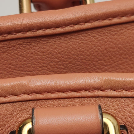Loewe Amazona 28 in Orange Leather Goat Special Edition