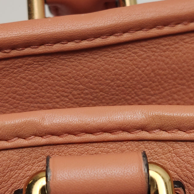 Loewe Amazona 28 in Orange Leather Goat Special Edition