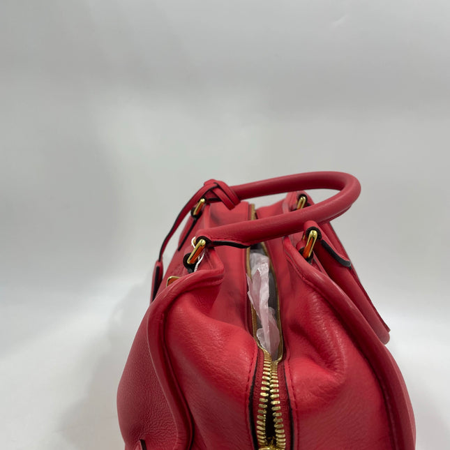 Loewe Amazona 36 Medium Red Leather Snail Lock Gold-tone Hardware