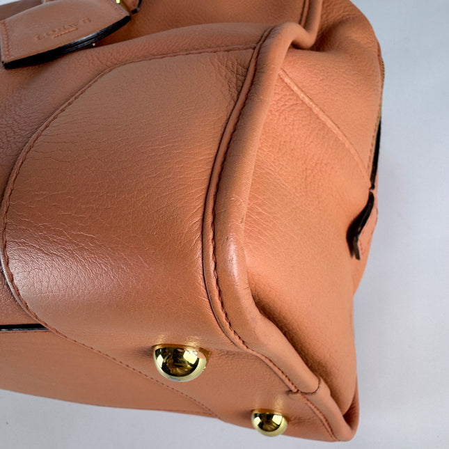 Loewe Amazona Medium 36 Light Coral Leather With Strap Goat Animal Lock