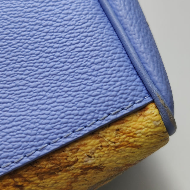 Louis Vuitton x Jeff Koons Speedy 30 Van Gogh Top Handle Bag