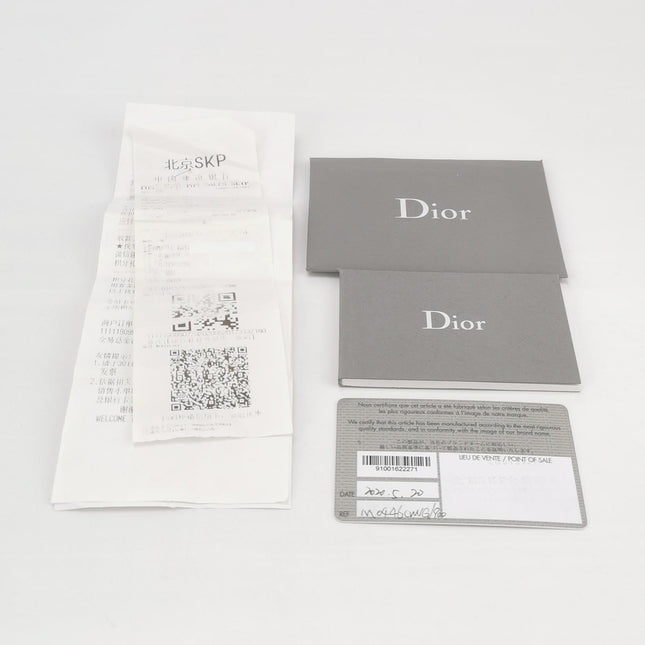 Dior Saddle 2019 Medium Grained Calfskin Leather Bag Black