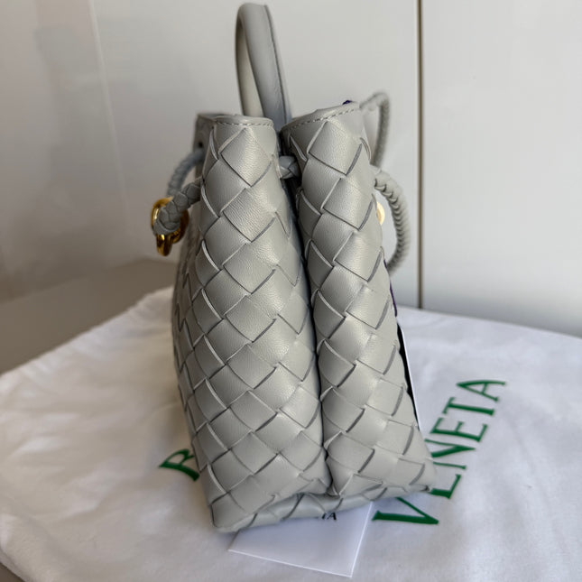 Bottega Veneta Small Andiamo Grey Handbag