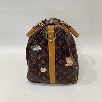 Louis Vuitton Speedy 30 Bandouliere Limited Edition Grace Coddington Catogram Brown