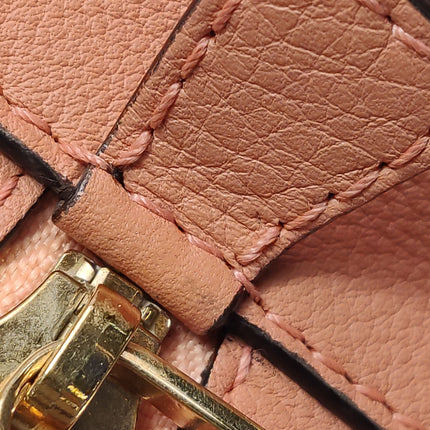 Loewe Amazona 28 in Orange Leather Goat Special Edition