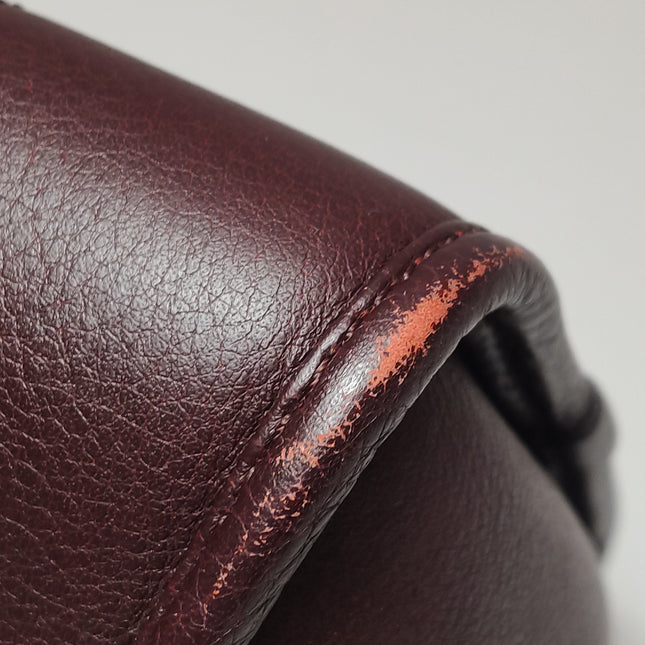 Loewe Amazona 28 in Burgundy Calfskin Leather and Gold-tone Hardware