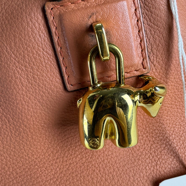 Loewe Amazona Medium 36 Light Coral Leather With Strap Goat Animal Lock