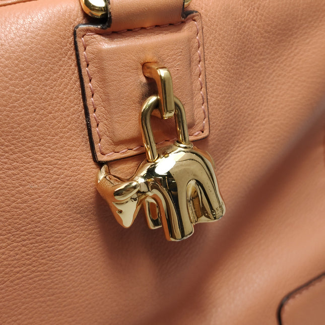 Loewe Amazona Medium 36 Light Coral Leather With Strap Goat Animal Lock