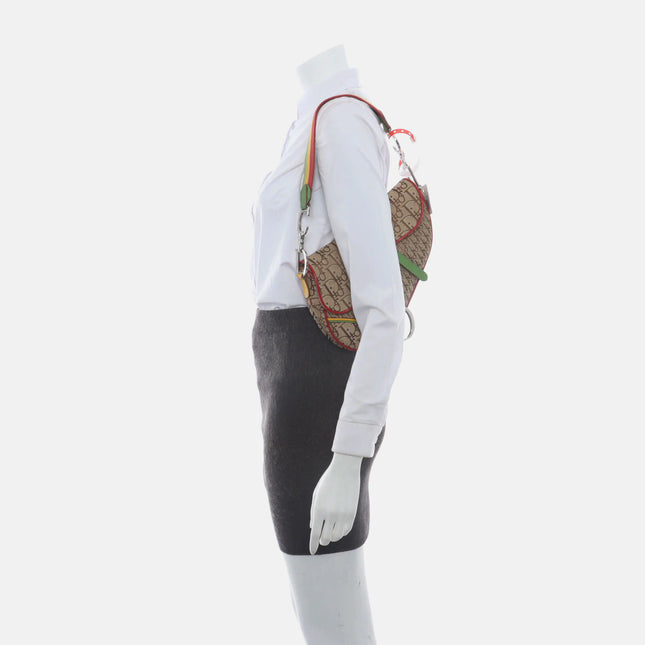 Sold Dior Rasta Trotter Saddle Shoulder Bag