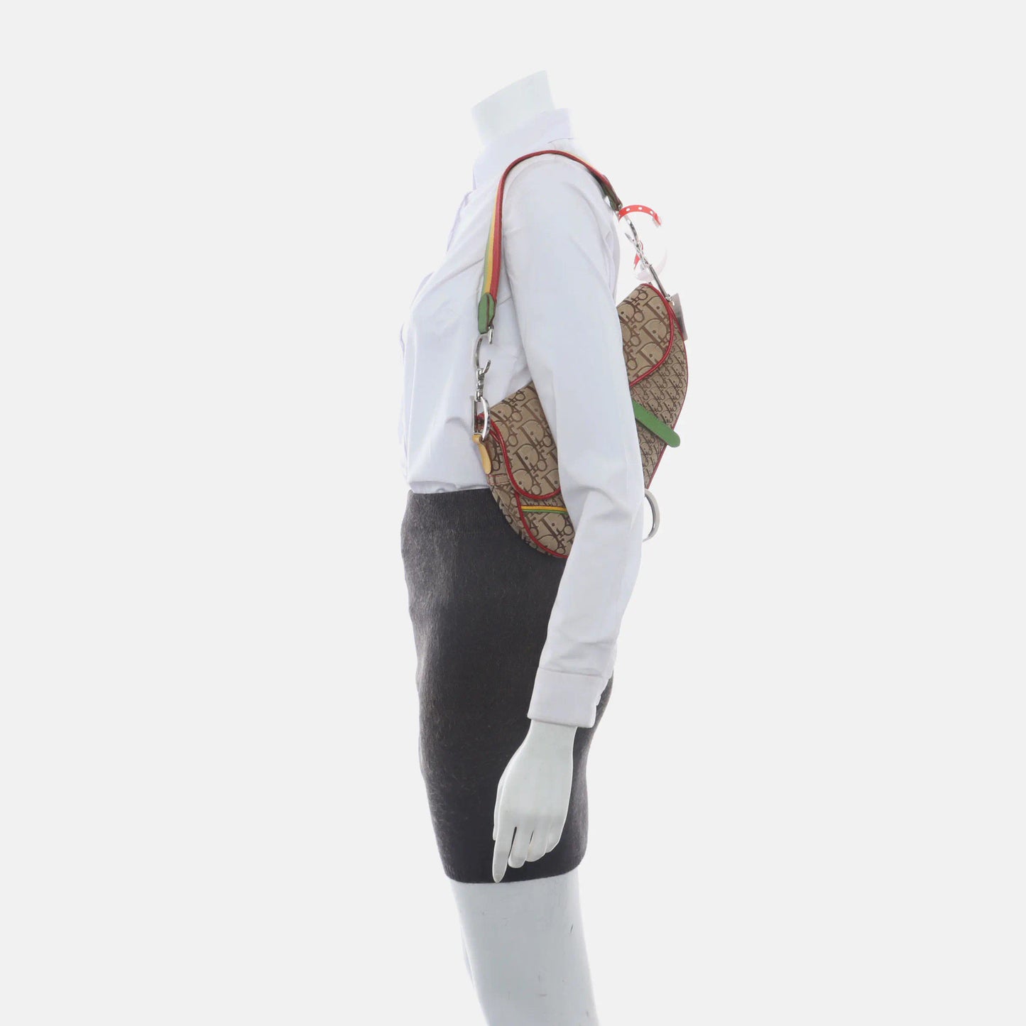Dior Rasta Trotter Saddle Shoulder Bag