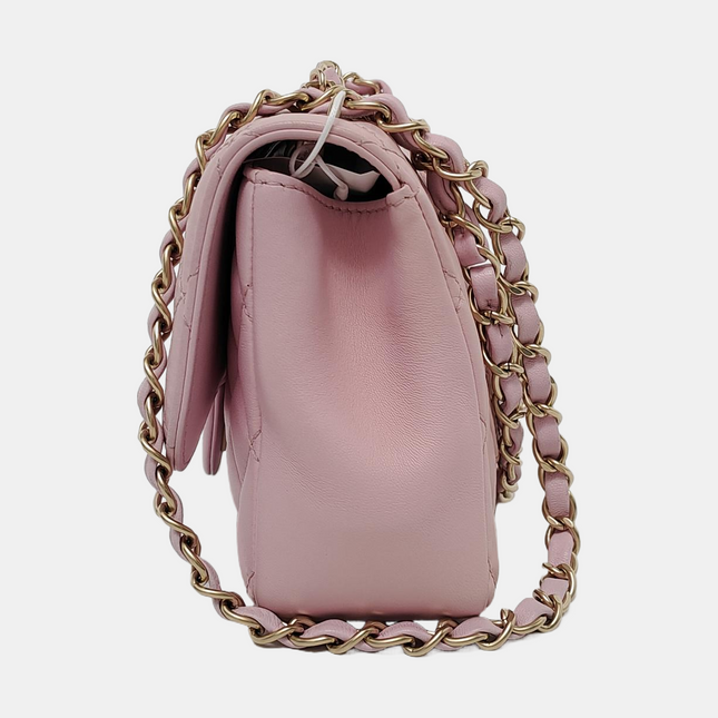 Chanel Diana Flap Small Pink Lambskin Leather Double Chain Gold Hardware 2015-2016