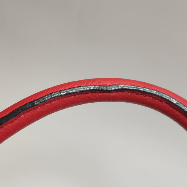 Loewe Amazona 36 Medium Red Leather Snail Lock Gold-tone Hardware