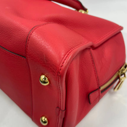 Loewe Amazona 36 Medium Red Leather Snail Lock Gold-tone Hardware