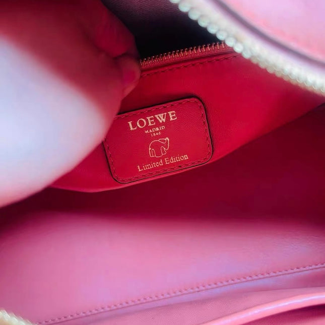 Loewe Amazona 28 in Orange Leather Goat Special Edition