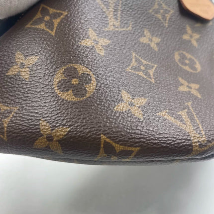 Sold Louis Vuitton Bumbag Monogram Brown 2020