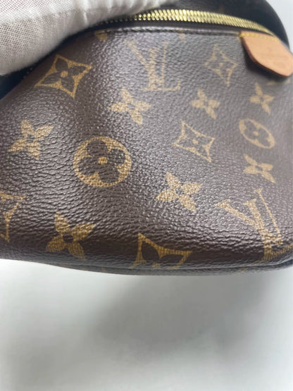 Sold Louis Vuitton Bumbag Monogram Brown 2020