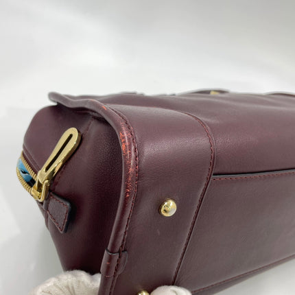 Loewe Amazona 28 in Burgundy Calfskin Leather and Gold-tone Hardware