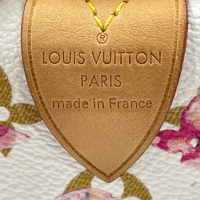 Louis Vuitton Speedy 35 Monogram Watercolor Pink Handbag Richard Prince 2008