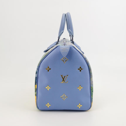 Louis Vuitton x Jeff Koons Speedy 30 Van Gogh Top Handle Bag