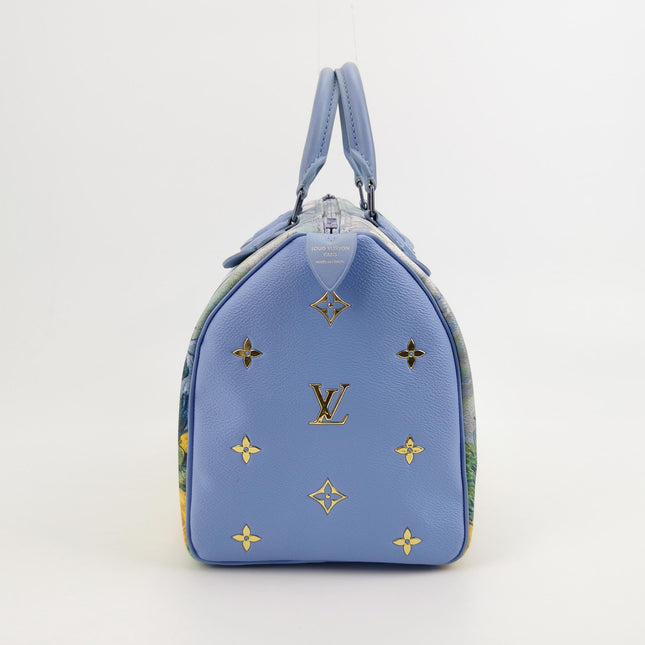 Louis Vuitton x Jeff Koons Speedy 30 Van Gogh Top Handle Bag