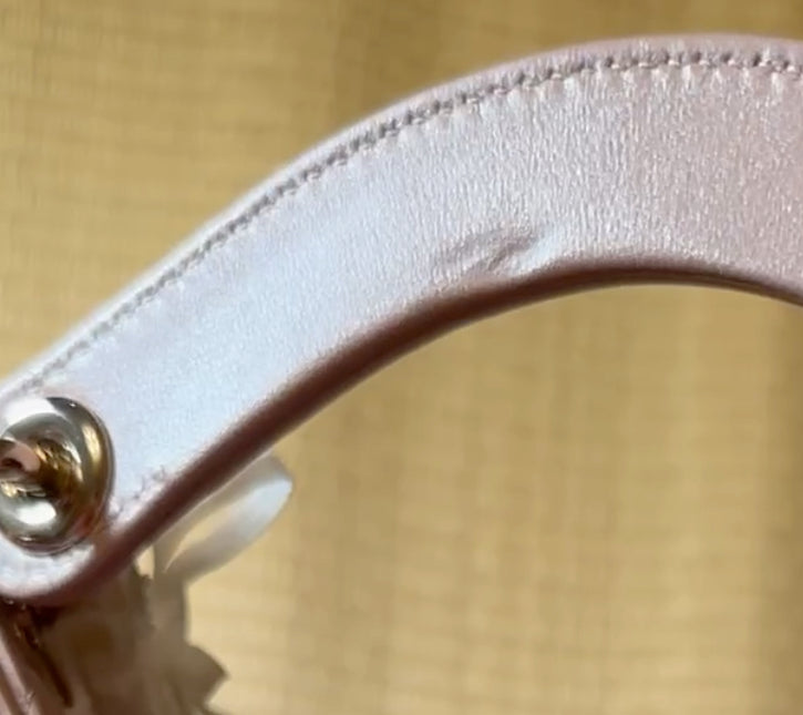 Lady Dior Medium Handbag Pearlescent Pink Cannage Leather Gold Hardware, 2016